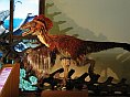 Dinosaurus - pankáč