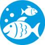 Ryby a Rybičky - Prodejní akvaristická burza