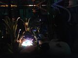 nocni osvětlení v akvariu
