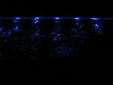 Noční osvětlení - Modré LED diody