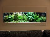 Rostlinné akvárium ve zdi