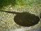 Trnucha Orbignyho (sladkovodní rejnok)