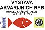 Výstav akvarijních ryb v Hradci Králové