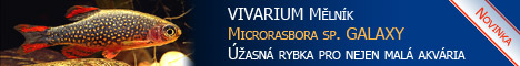 http://www.vivarium.cz